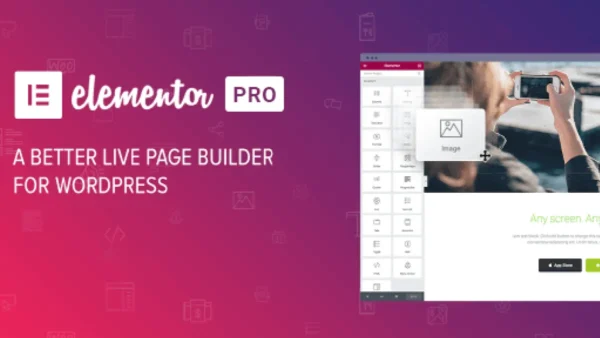 elementor-pro-plugin